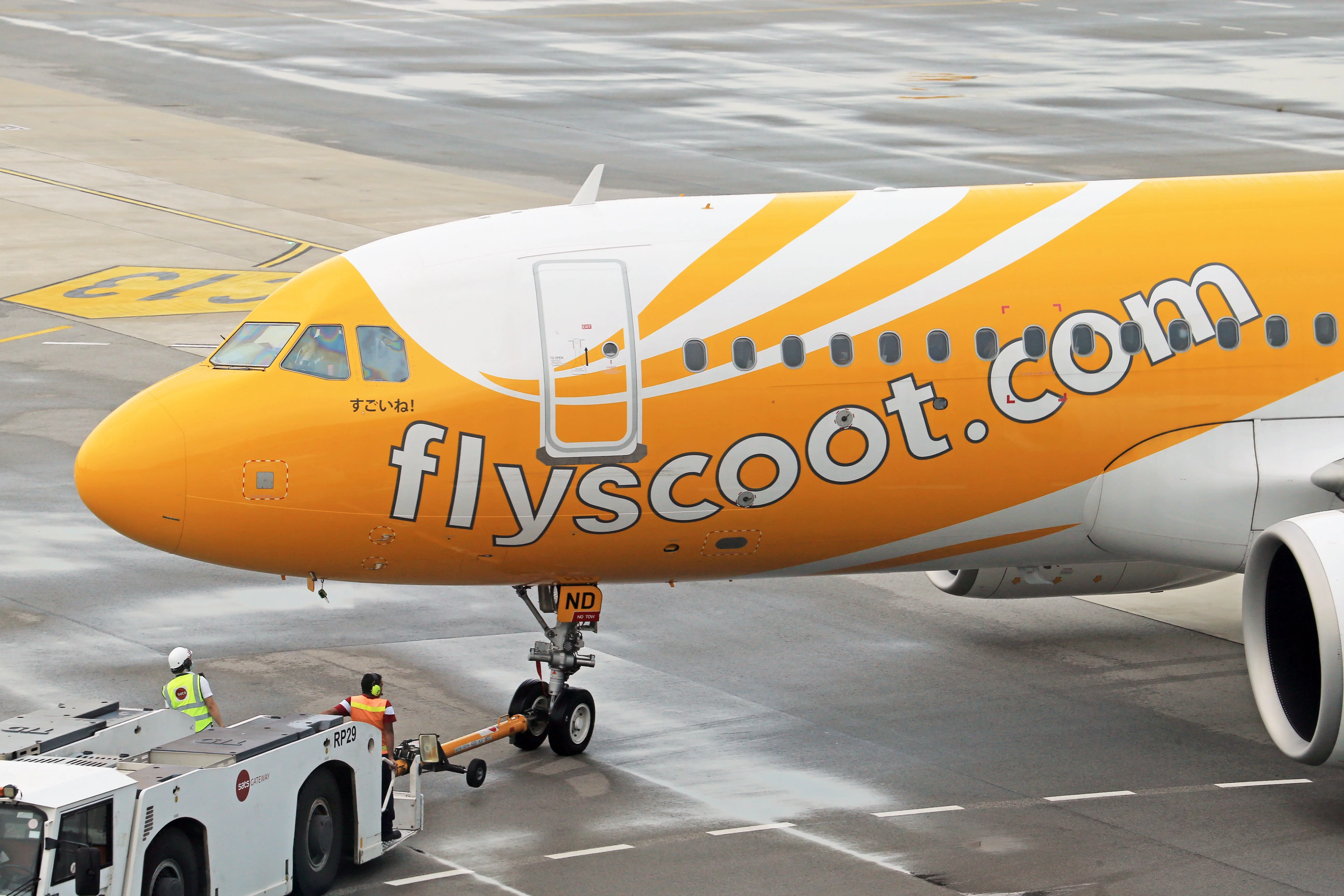Aviation, Aircraft, Scoot, A320