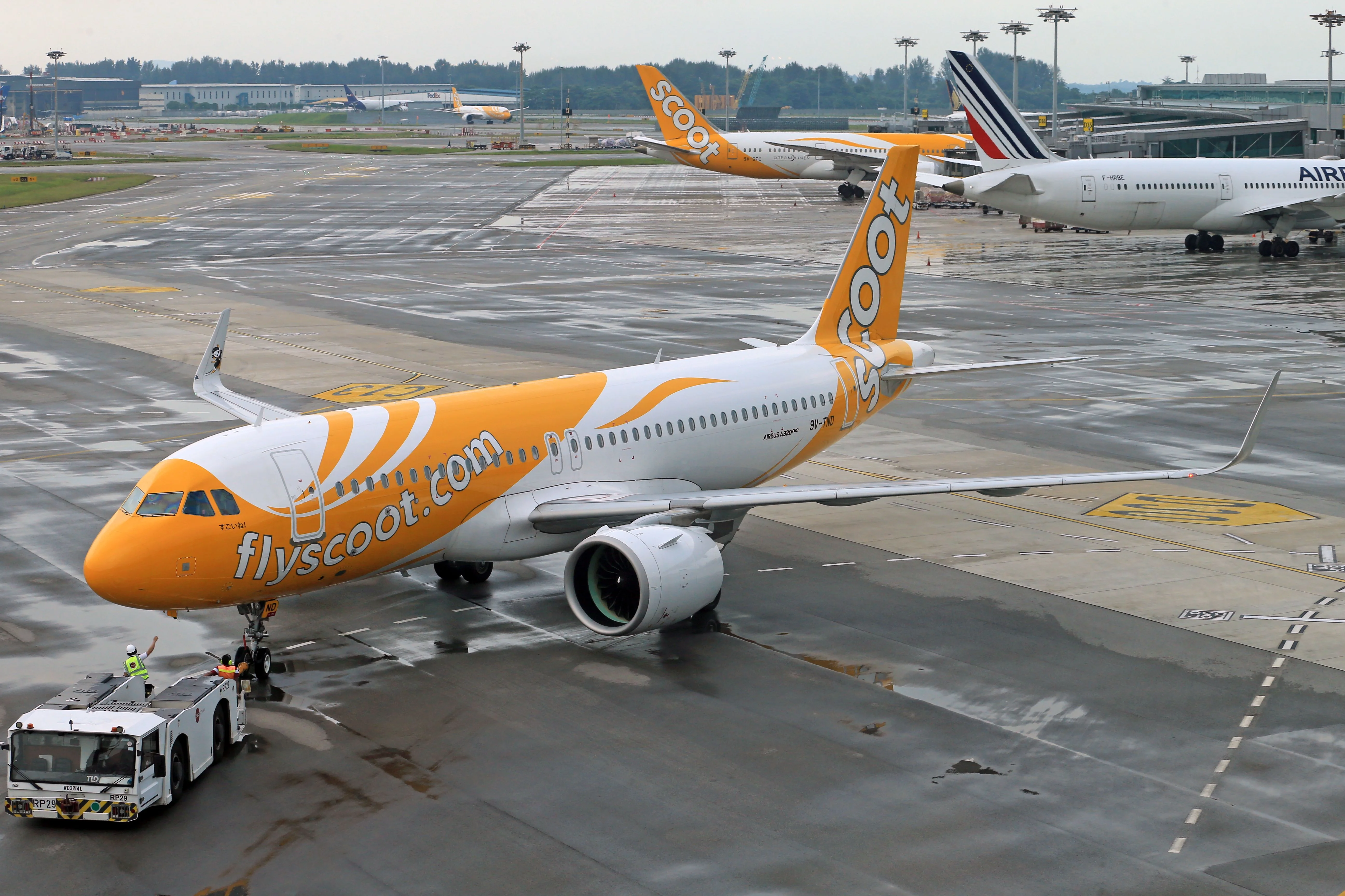 Aviation, Aircraft, Scoot